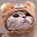 Avatar Camilo Acosta